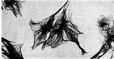 image002.jpg