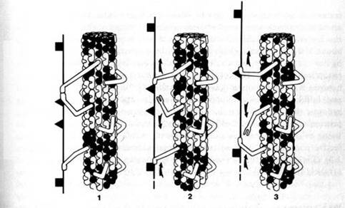 image003.jpg