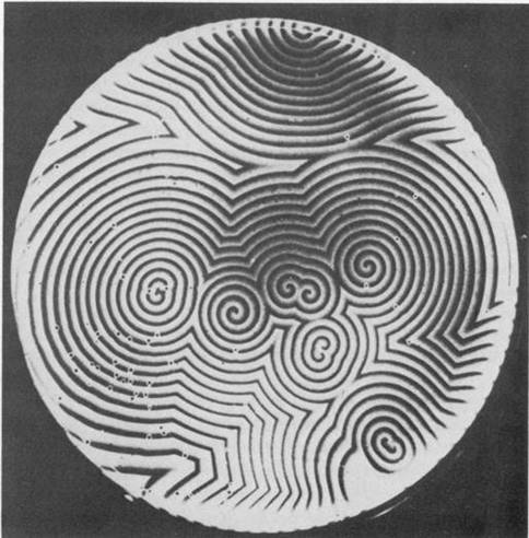 image009.jpg