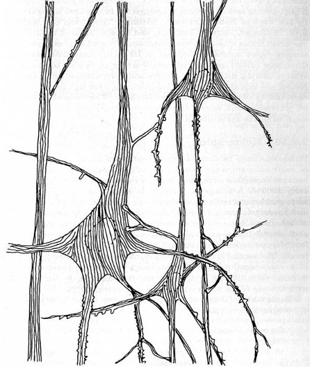 image017.jpg