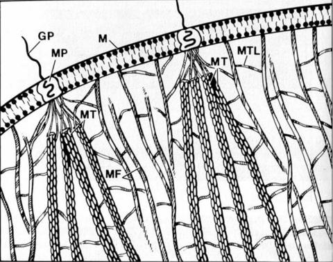 image028.png