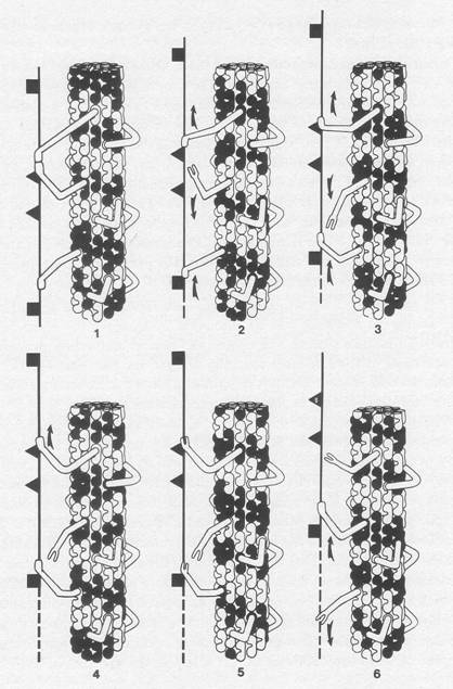 image050.jpg