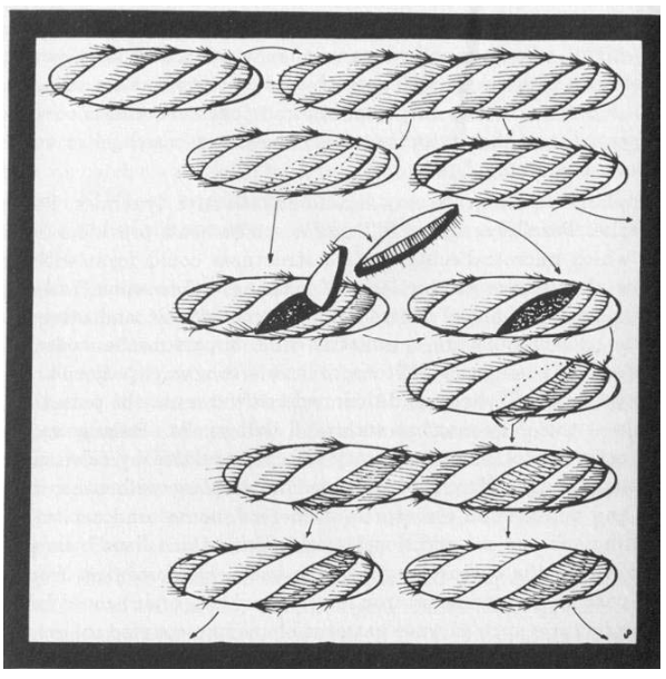 image052.png