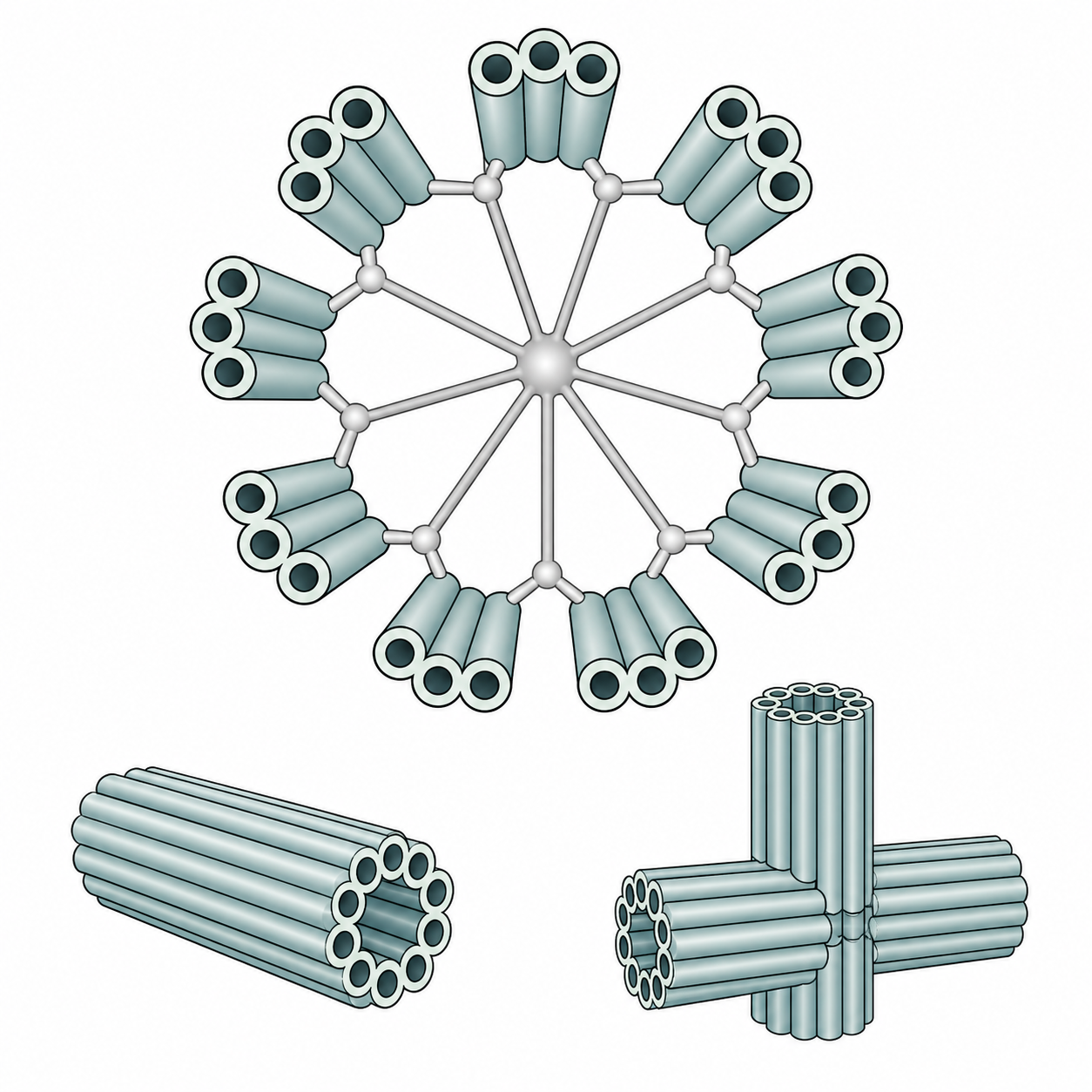 Modern companion diagram for Figure 3.2 showing centriole nine triplet structure and right angle pairing